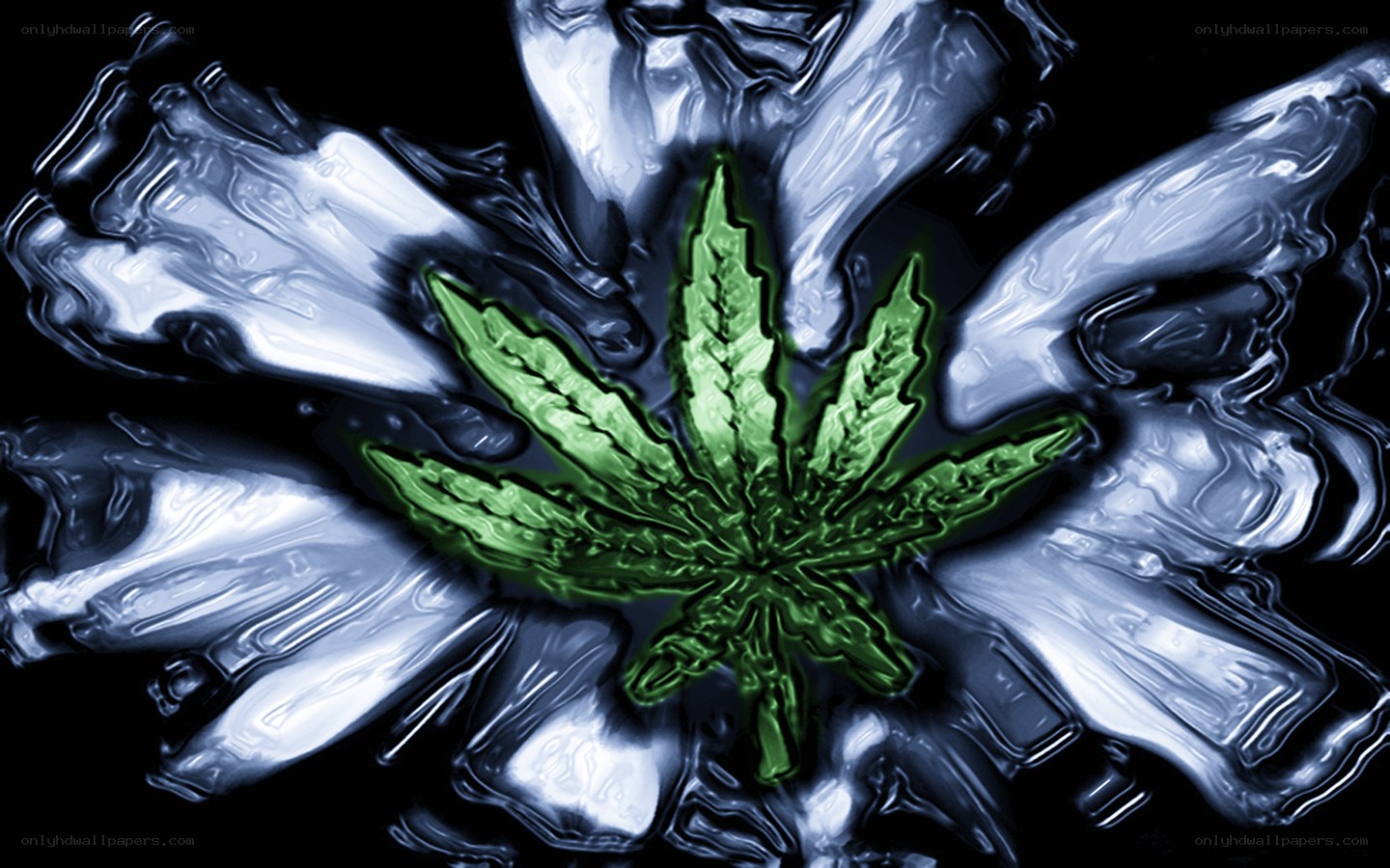 Green cannabis leaf on dark background