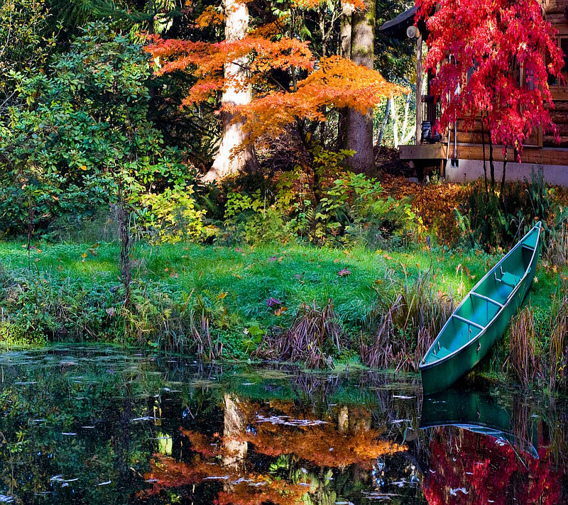 Green Canoe on Shore