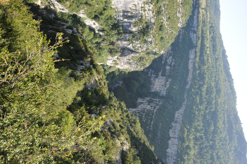 green canyon landscape