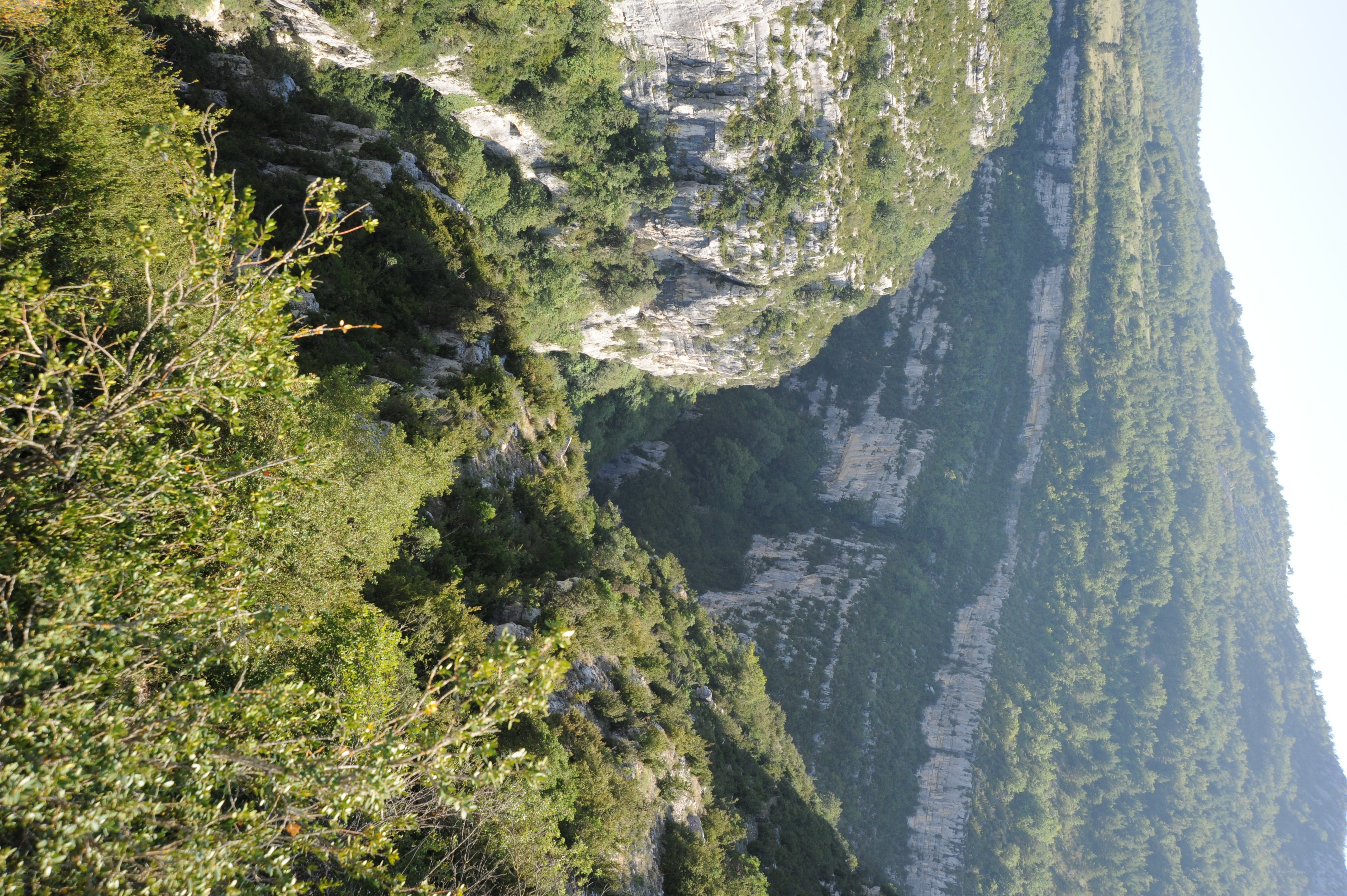 green canyon landscape