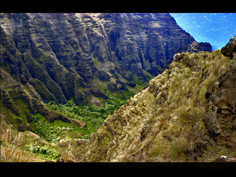 Green Canyon with Ocean