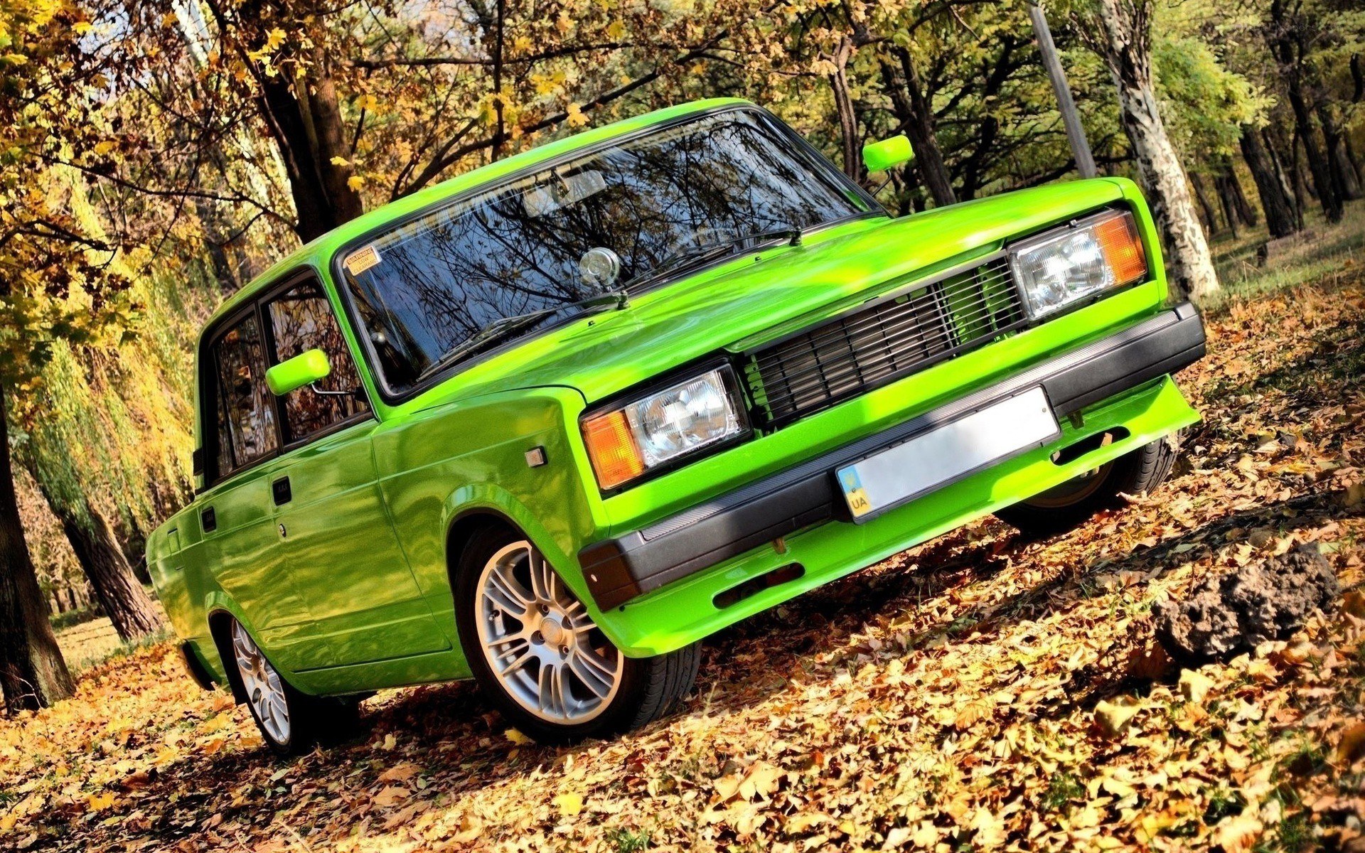 Green car in autumn forest