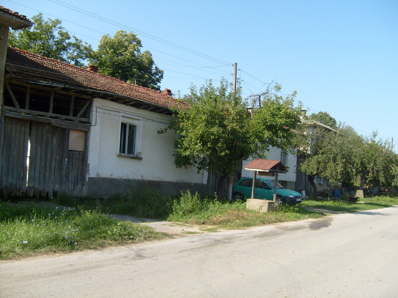 Green Car in Village