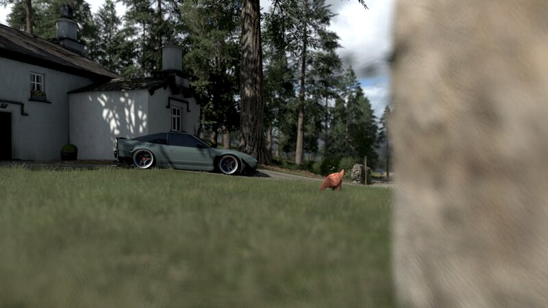Green Car in Yard