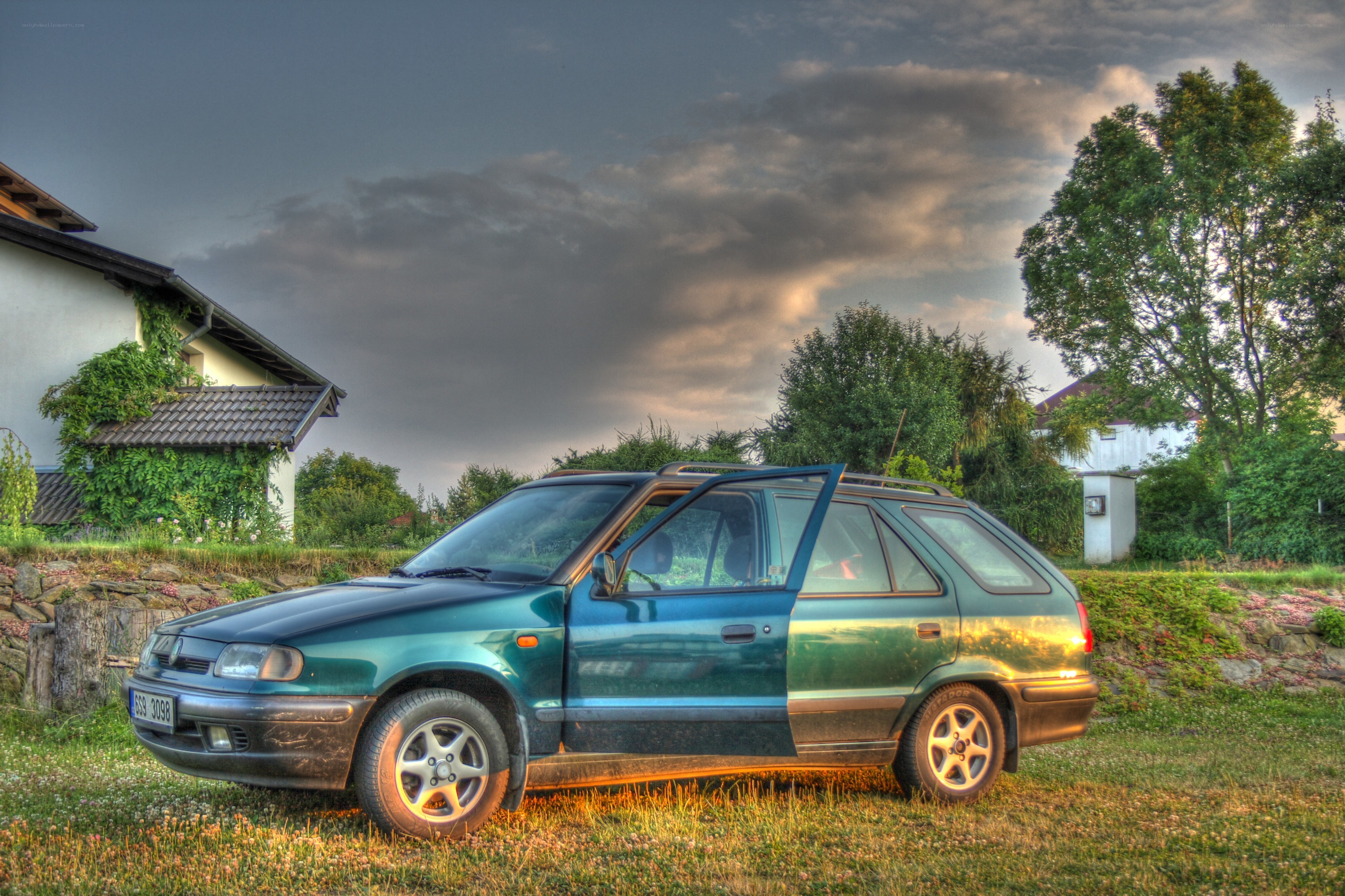 Green car on a grassy lawn
