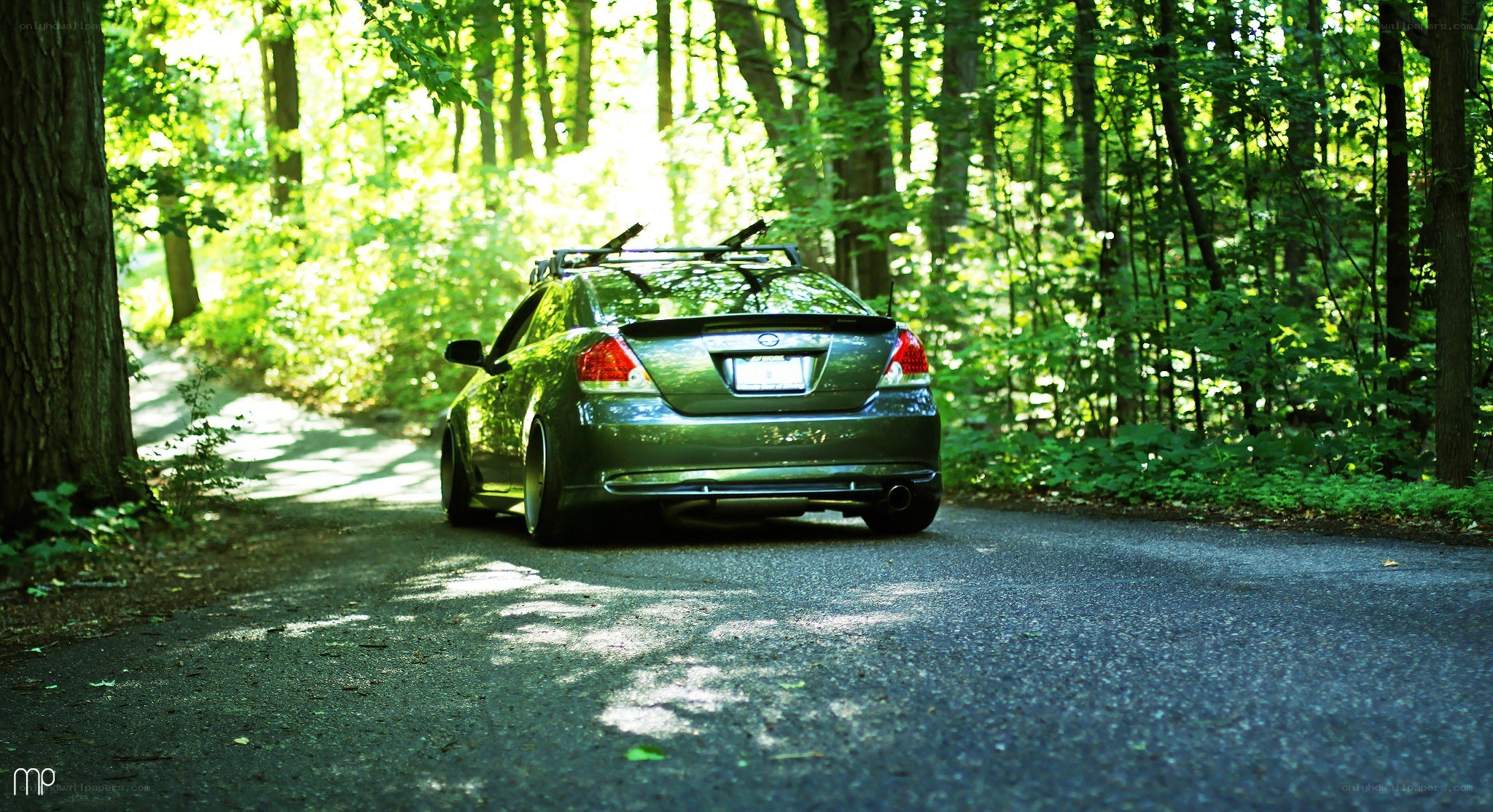Green car on forest road
