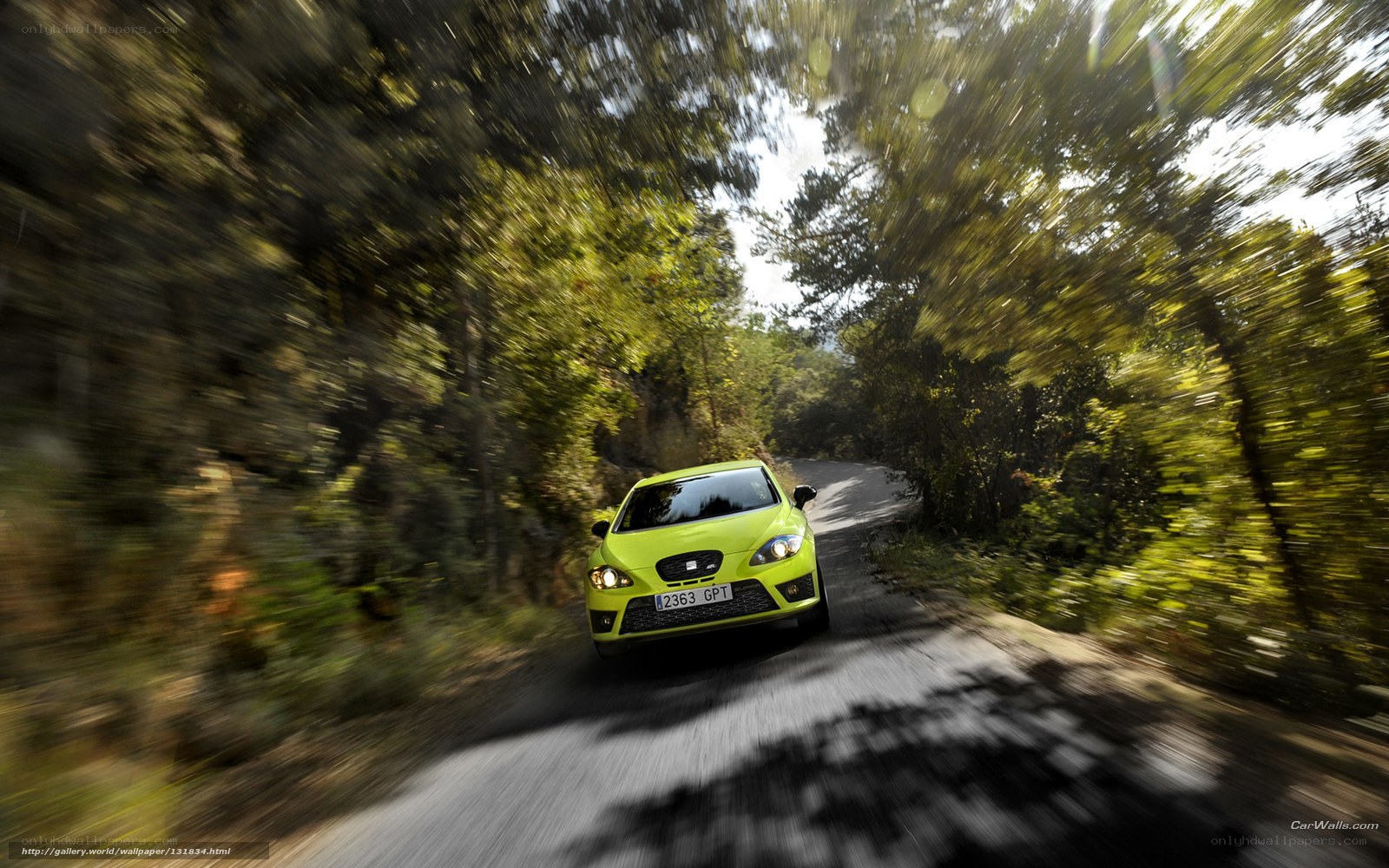 green car on forest road
