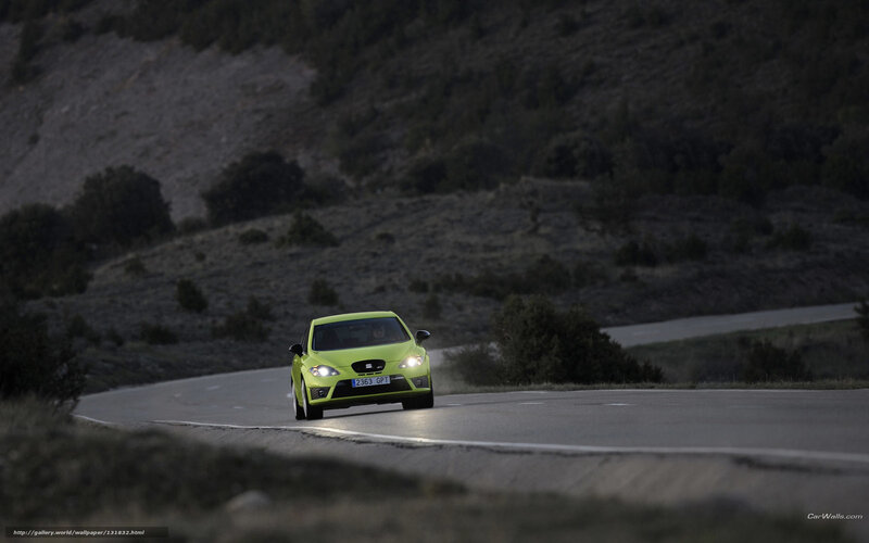 green car on winding road
