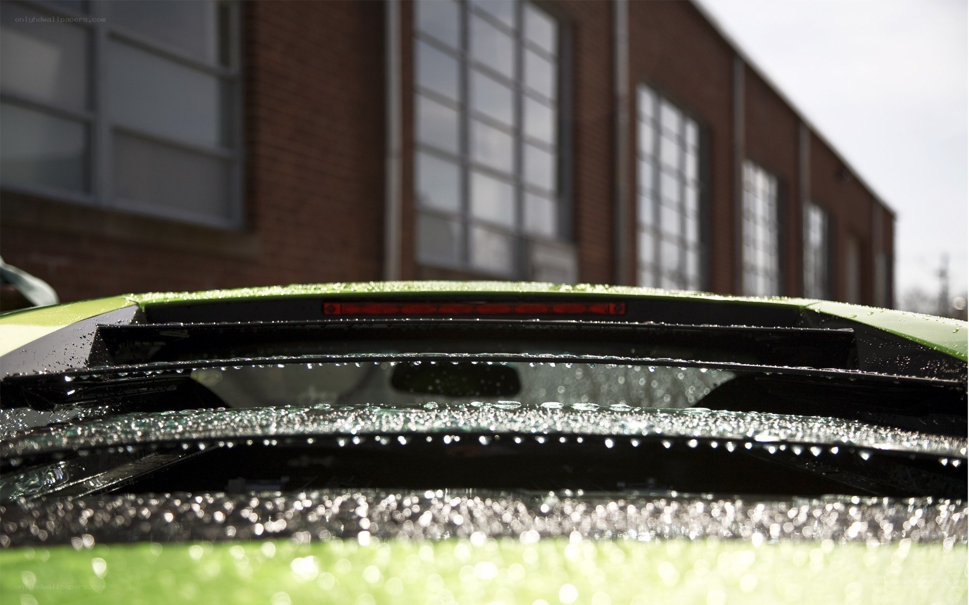 green car rear view