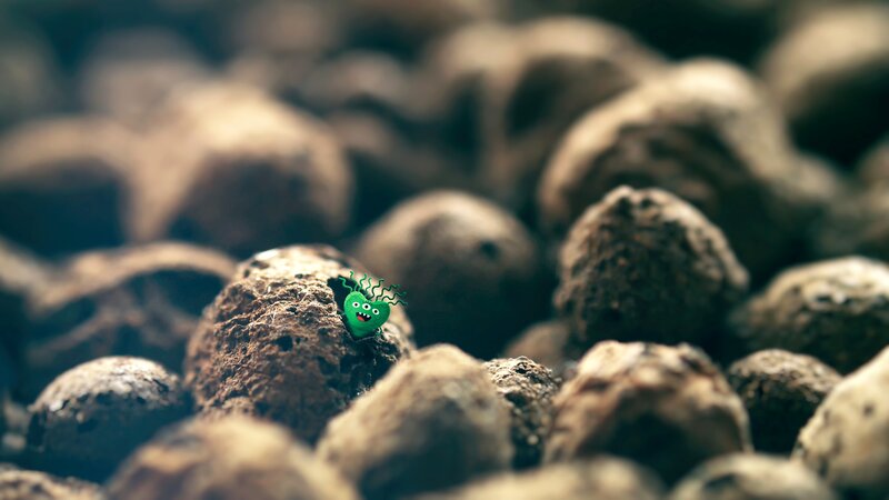 Green Cartoon Microbe