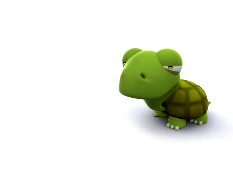 Green Cartoon Turtle — Neutral