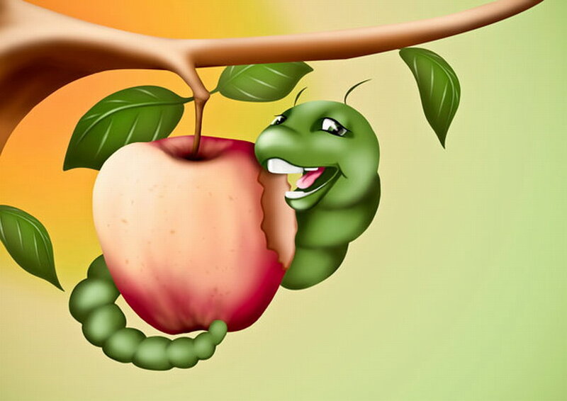 Green Caterpillar Eating Apple