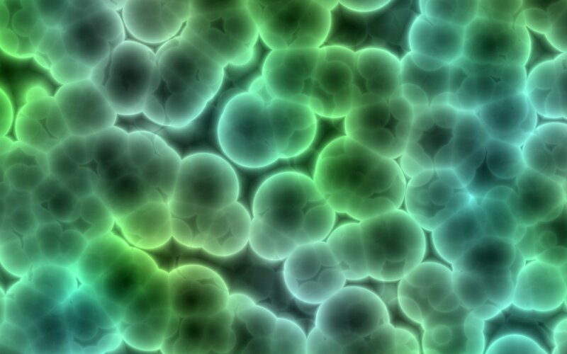 green cellular pattern