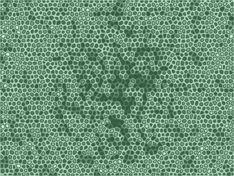 Green Cellular Pattern — Calm, Abstract