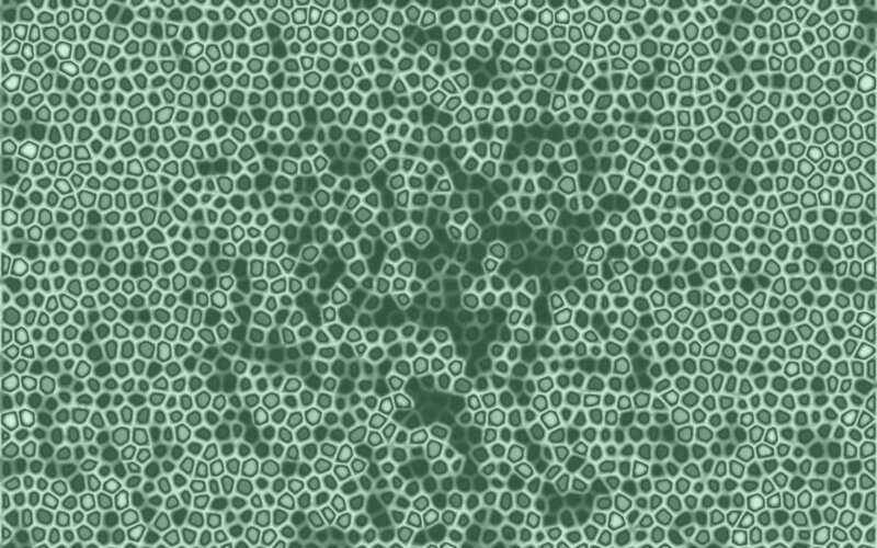 Green Cellular Pattern — Calm
