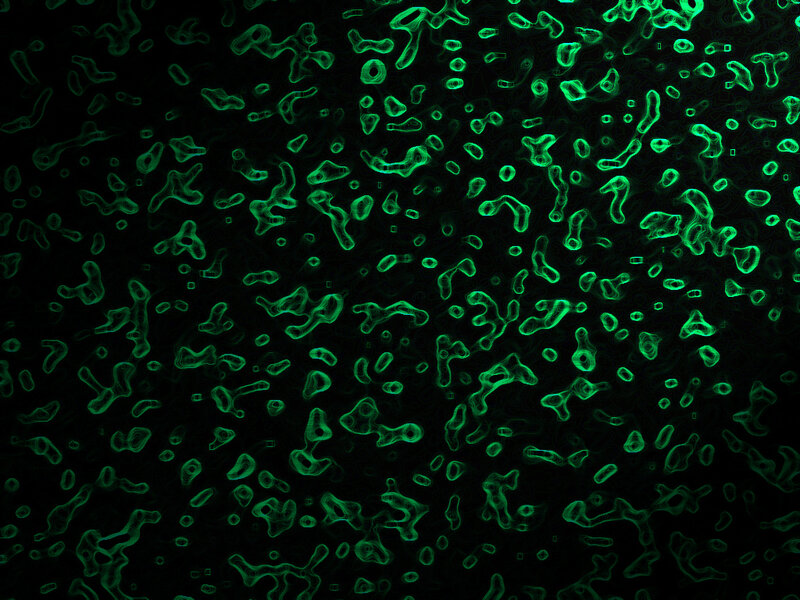 green cellular patterns on black