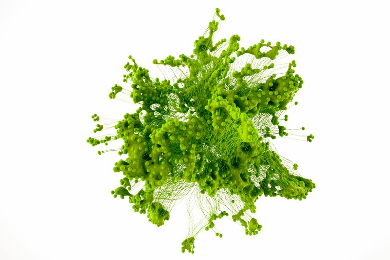 Green Cellular Structure