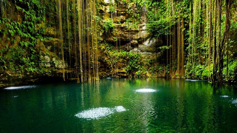 Green Cenote Pool