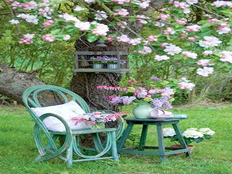 Green Chair under Tree