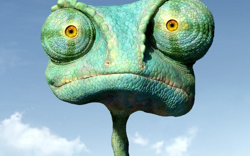 Green Chameleon Head