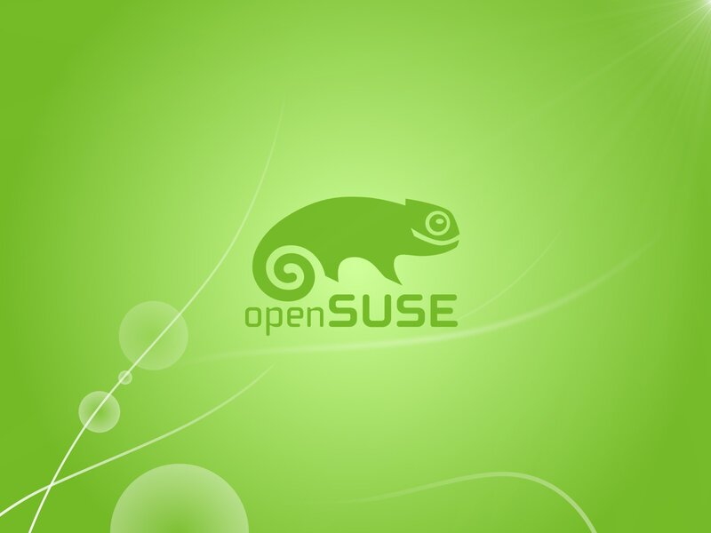 Green Chameleon Logo — Calm