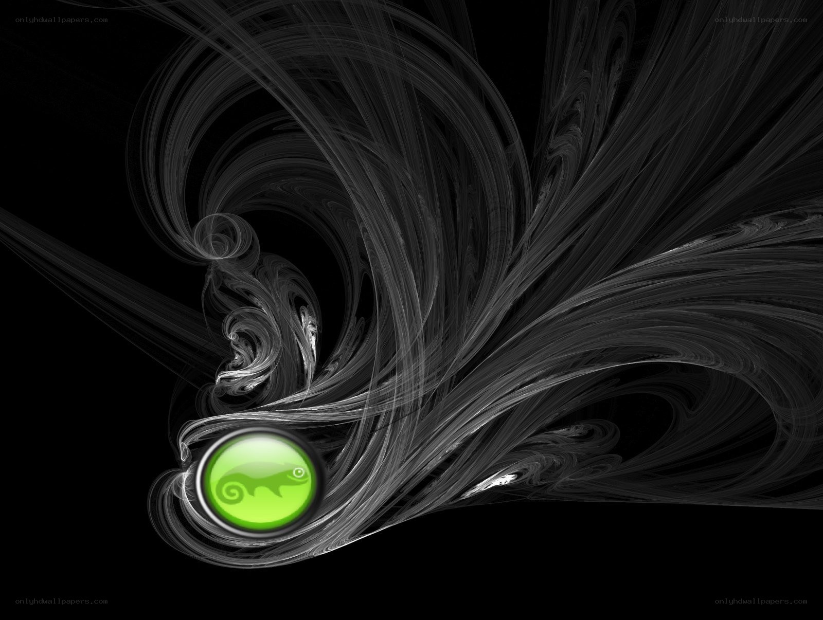 green chameleon logo on abstract background
