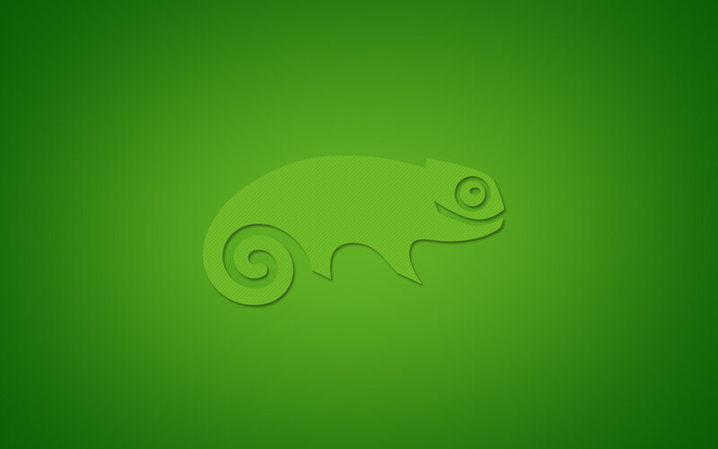 green chameleon logo