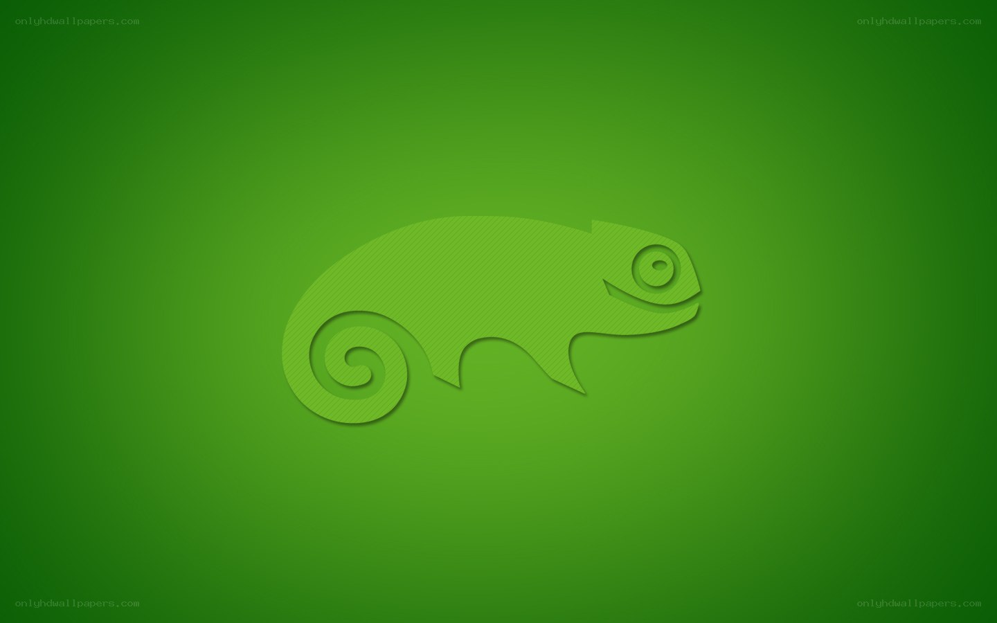 green chameleon logo