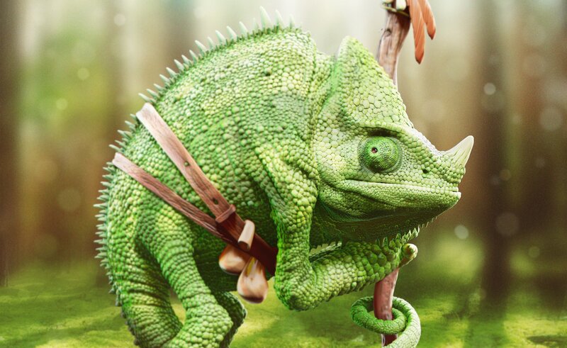 Green Chameleon on Branch — Serene