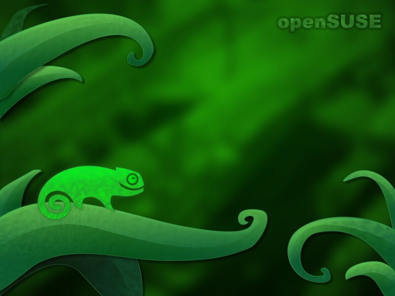 Green Chameleon on Leaf — Calm, Digital Art, Text