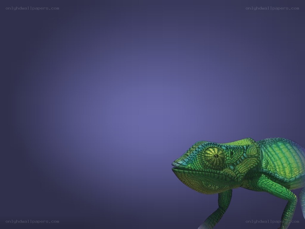 green chameleon on purple background
