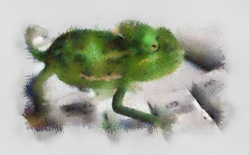 Green Chameleon on Rock — Calm