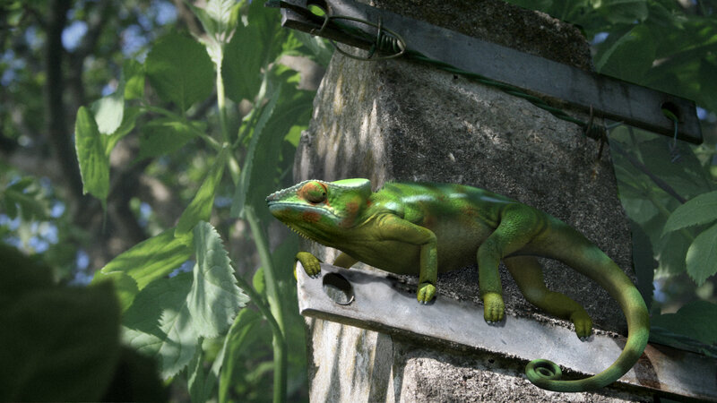 Green Chameleon on Structure