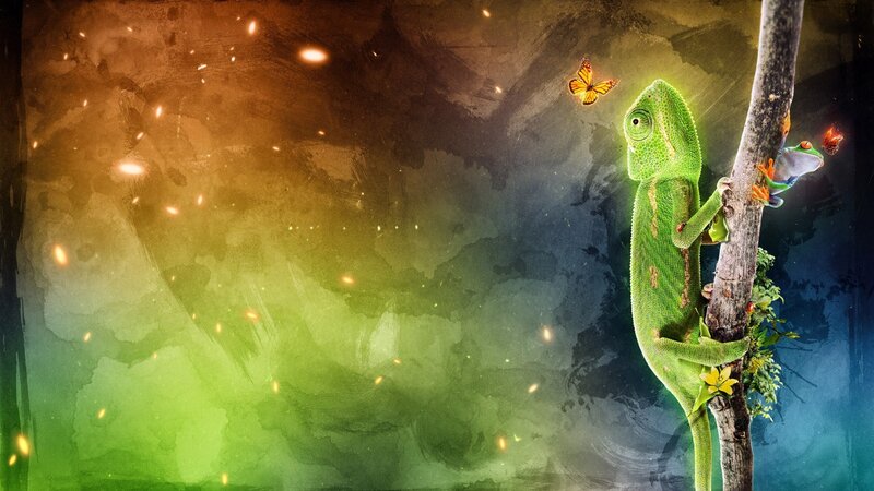 Green Chameleon on Tree — Dramatic