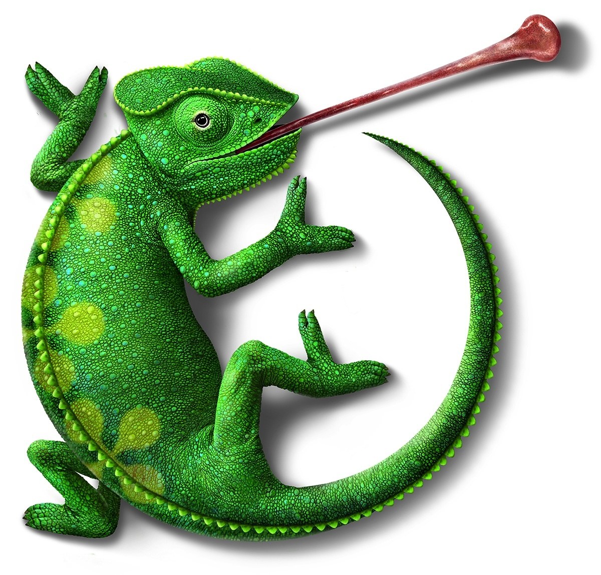 green chameleon with long tongue