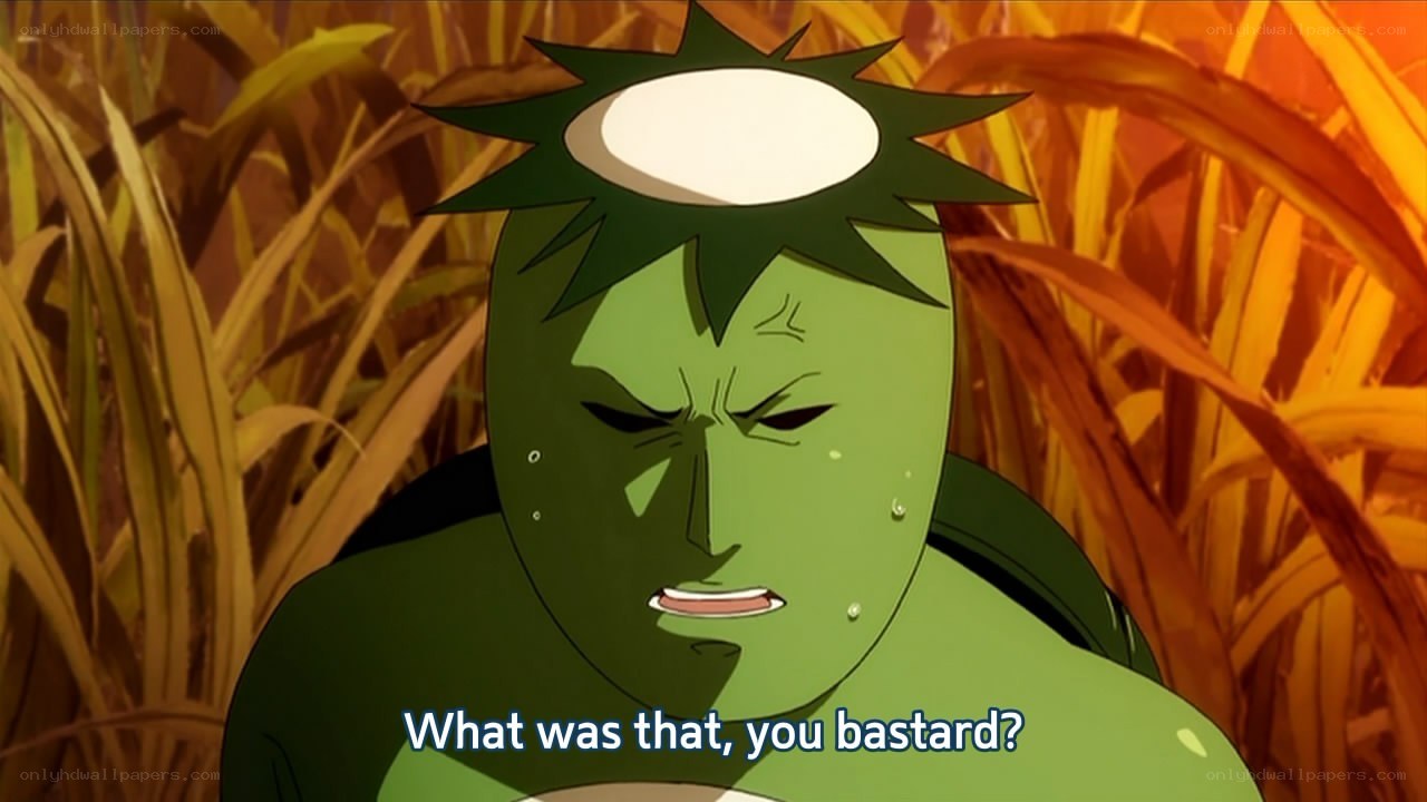 green character in cornfield