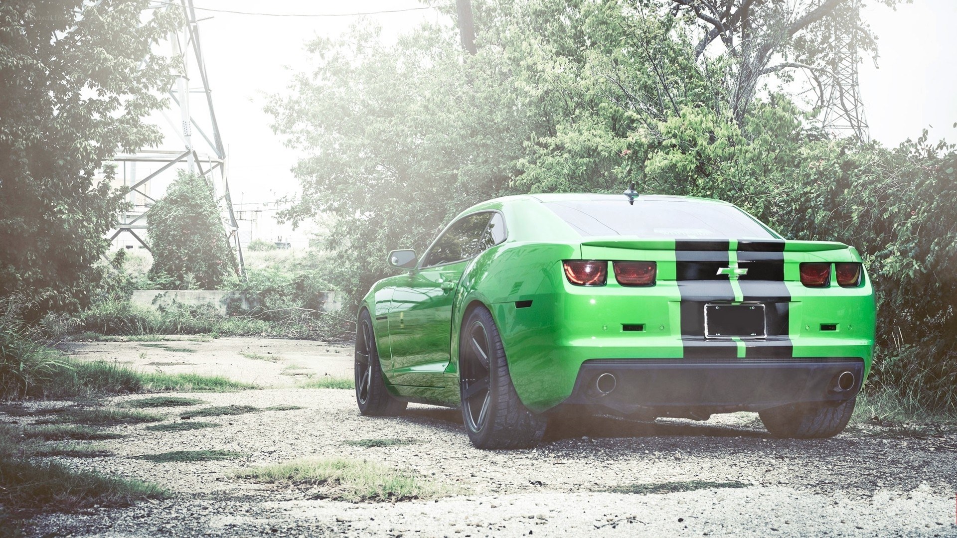 green chevrolet camaro