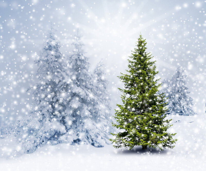 Green Christmas Tree — White