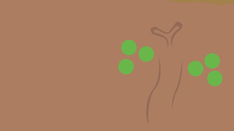 green circles on brown background