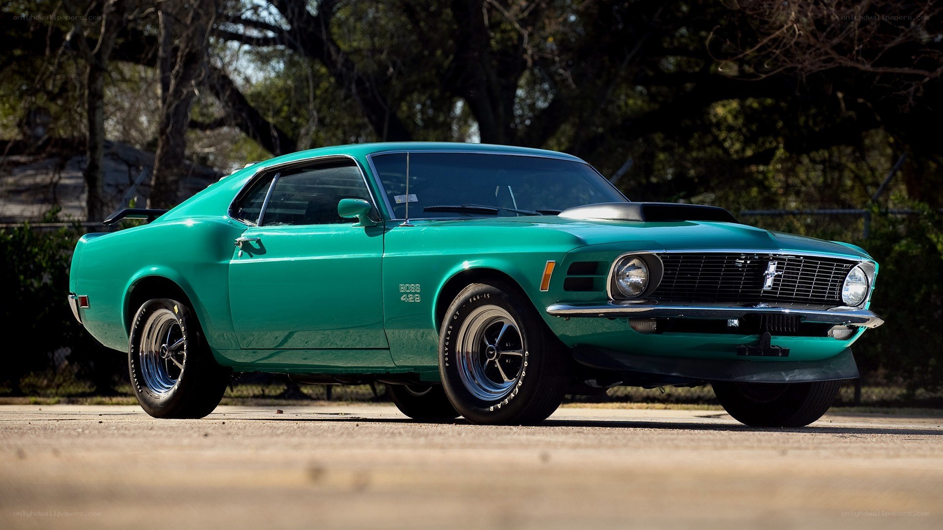 Green classic muscle car