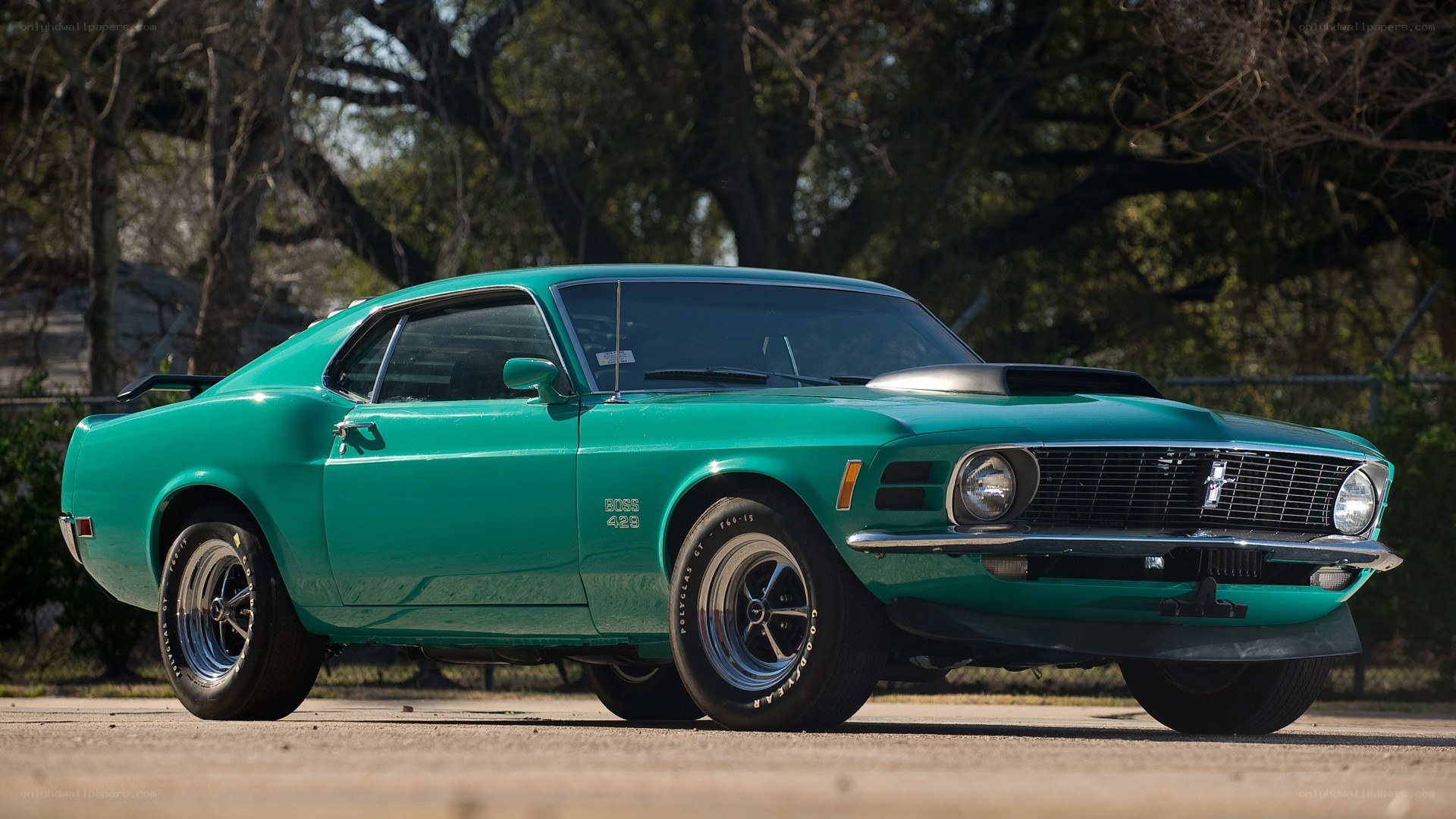 Green classic muscle car