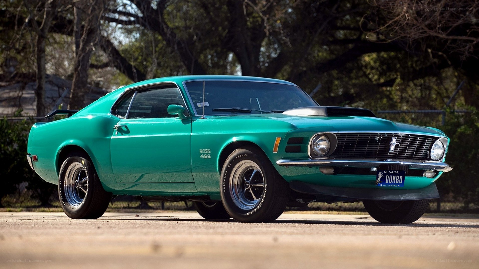 Green classic muscle car