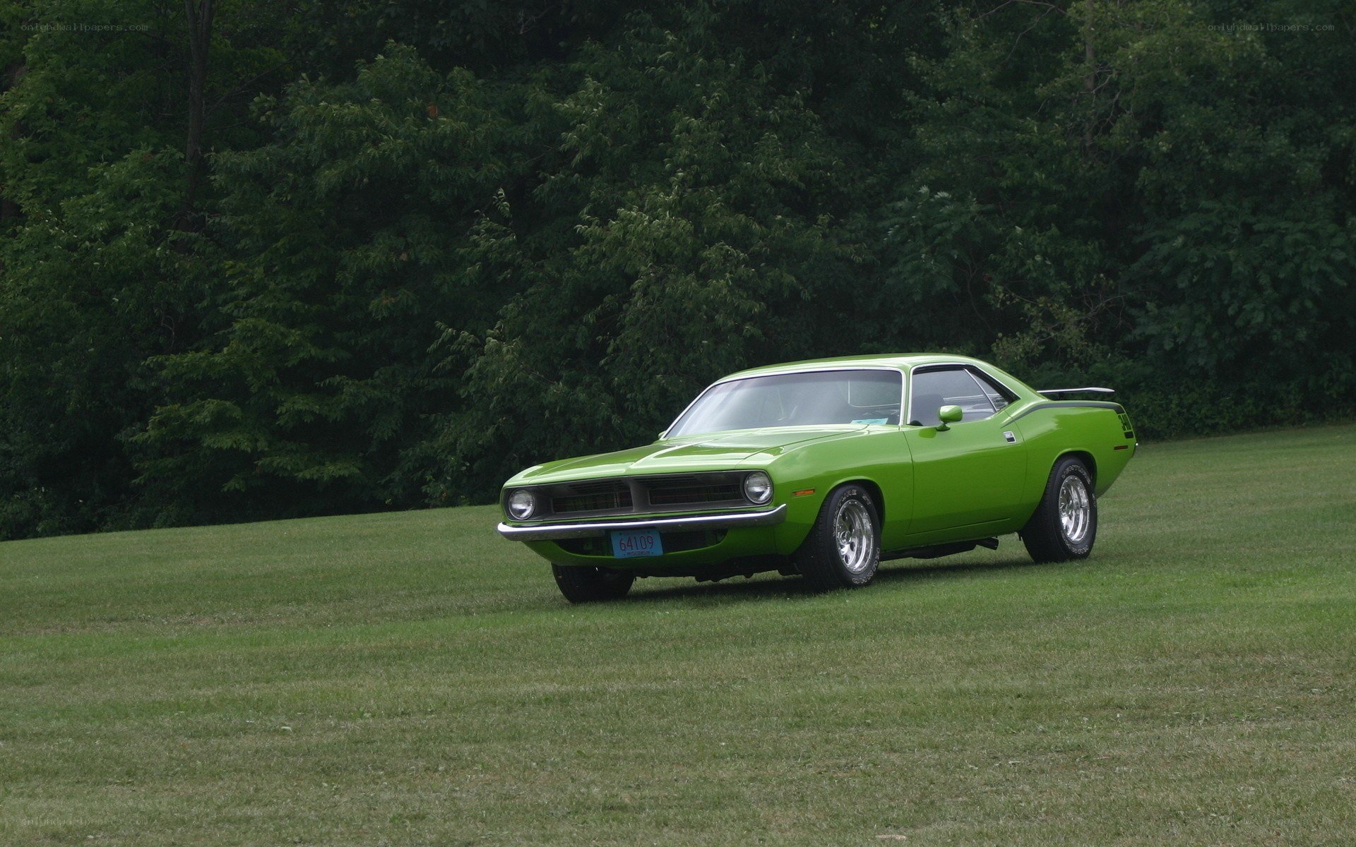 Green classic muscle car on grass