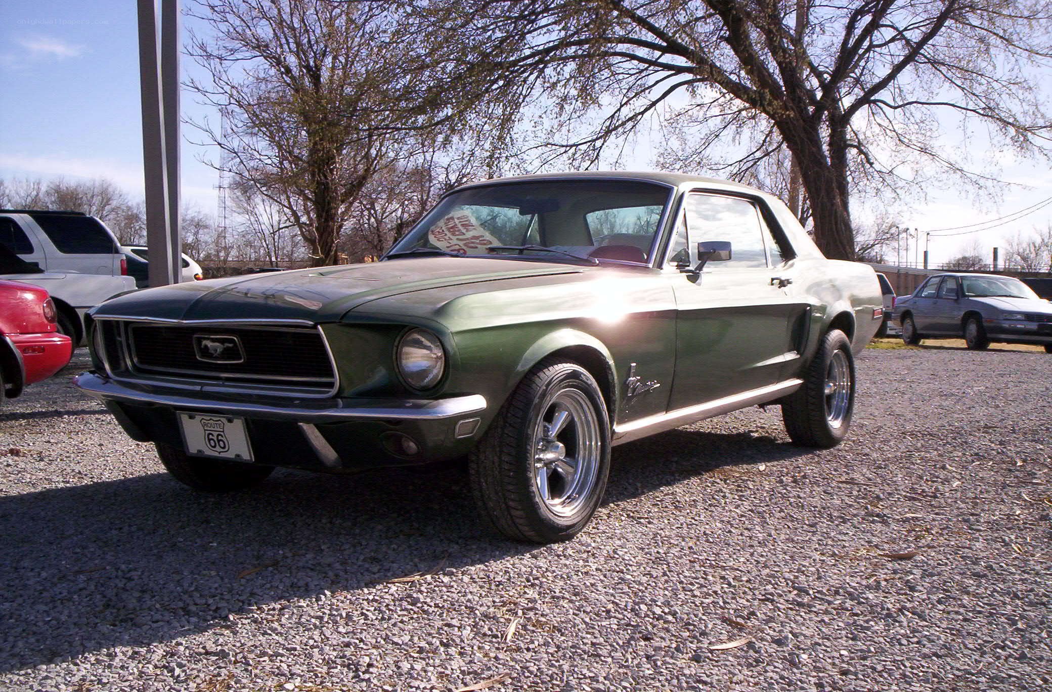 Green classic Mustang car