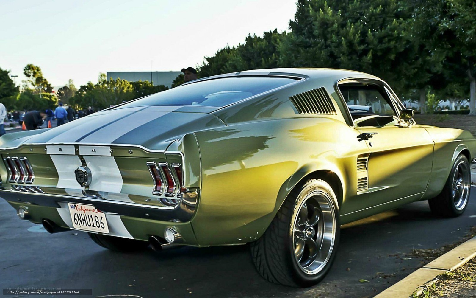 green classic mustang car