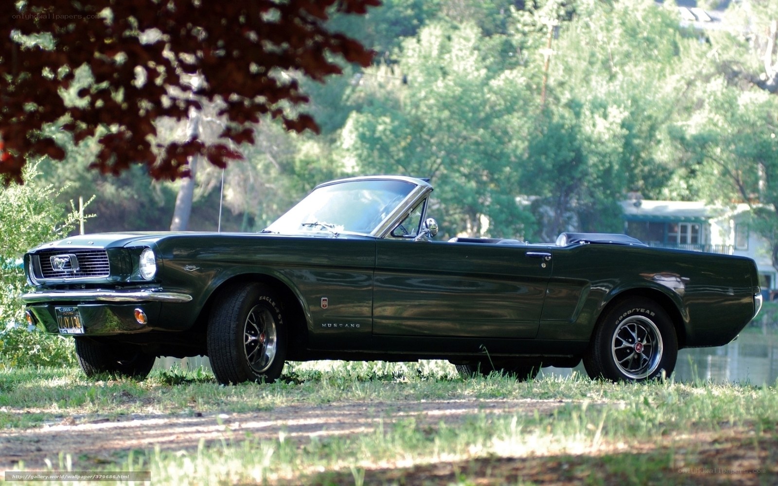 Green classic Mustang convertible