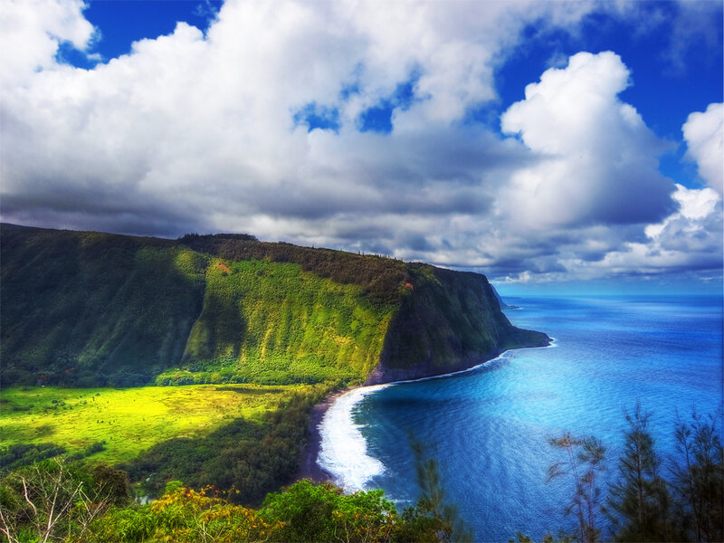 Green Cliff by Ocean
