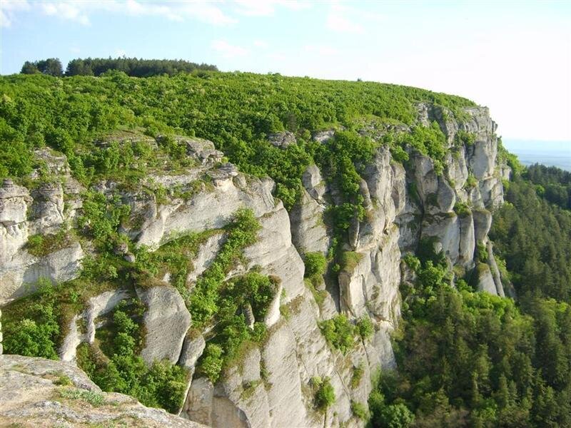 Green Cliff Face