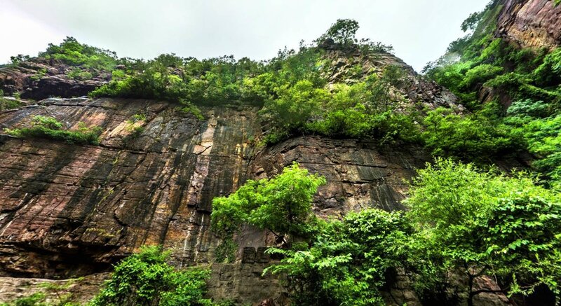 green cliff face with trees