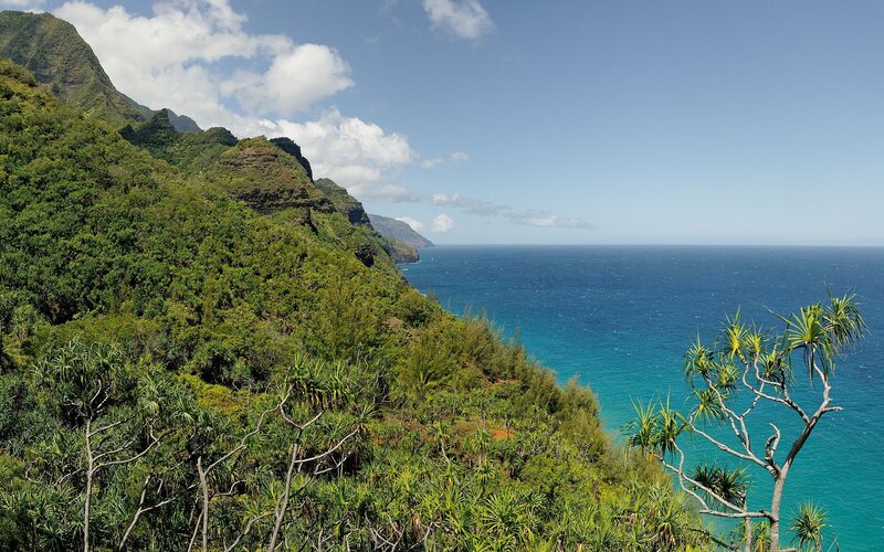 Green Cliffs Overlooking Ocean — Blue
